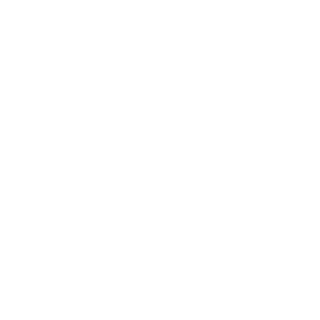 Live Polling: Allows the collection of immediate feedback.