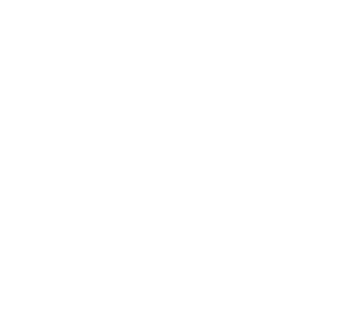 Revenue Optimisation